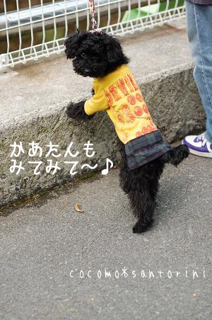 みてみて1.jpg